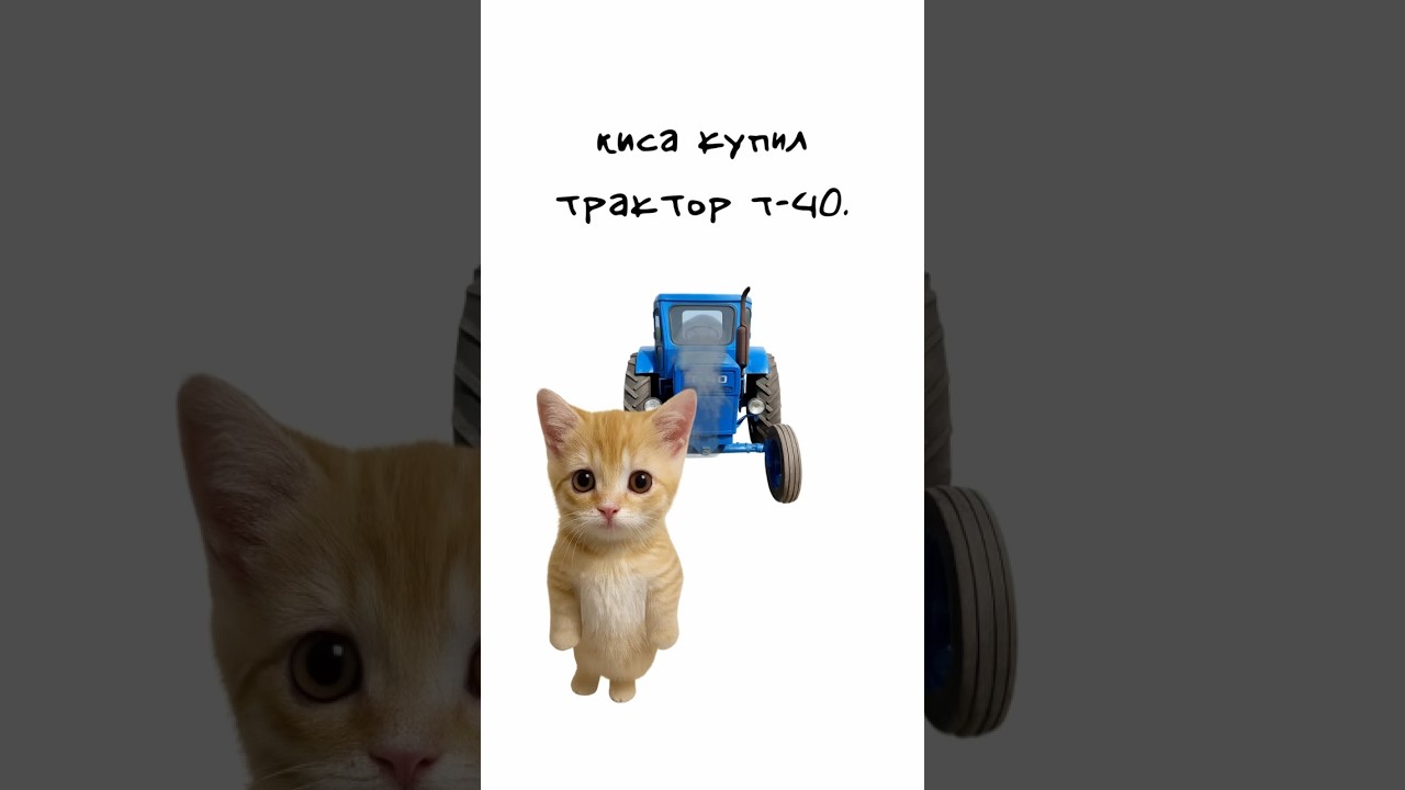 Киса купил трактор т-40 #авто