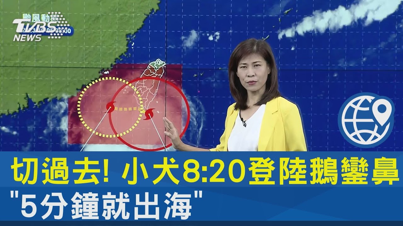 切過去! 小犬8:20登陸鵝鑾鼻「5分鐘就出海」｜TVBS新聞 @tvbsnews24live
