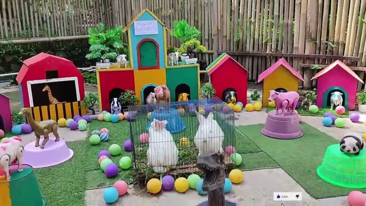 Cutest Animal Moment Ever – Baby Chicks Edition!