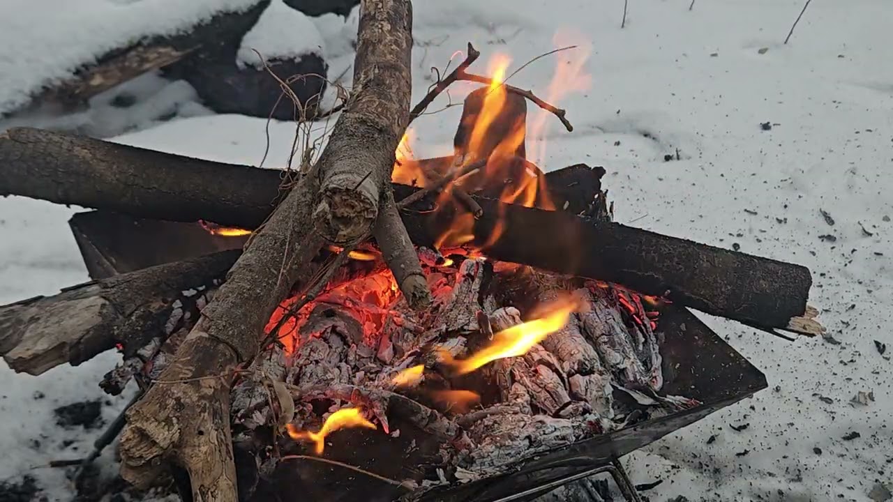 Staring firewood. (30:24 - 4K)
