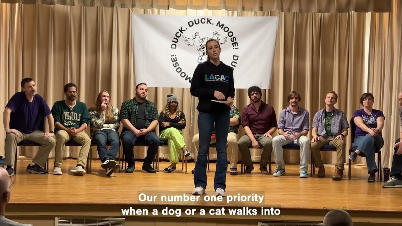 Чипирование — советы по содержанию домашних животных от LACAC на сайте Howling With Laughter
