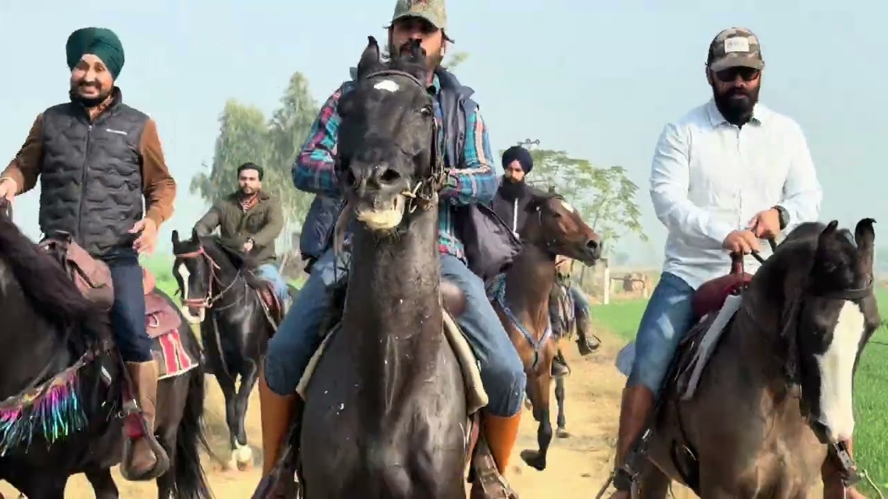 मारवाड़ी घोड़ों के साथ 40 किलोमीटर की घुड़सवारी  40 kms horse ride with marwari horses
