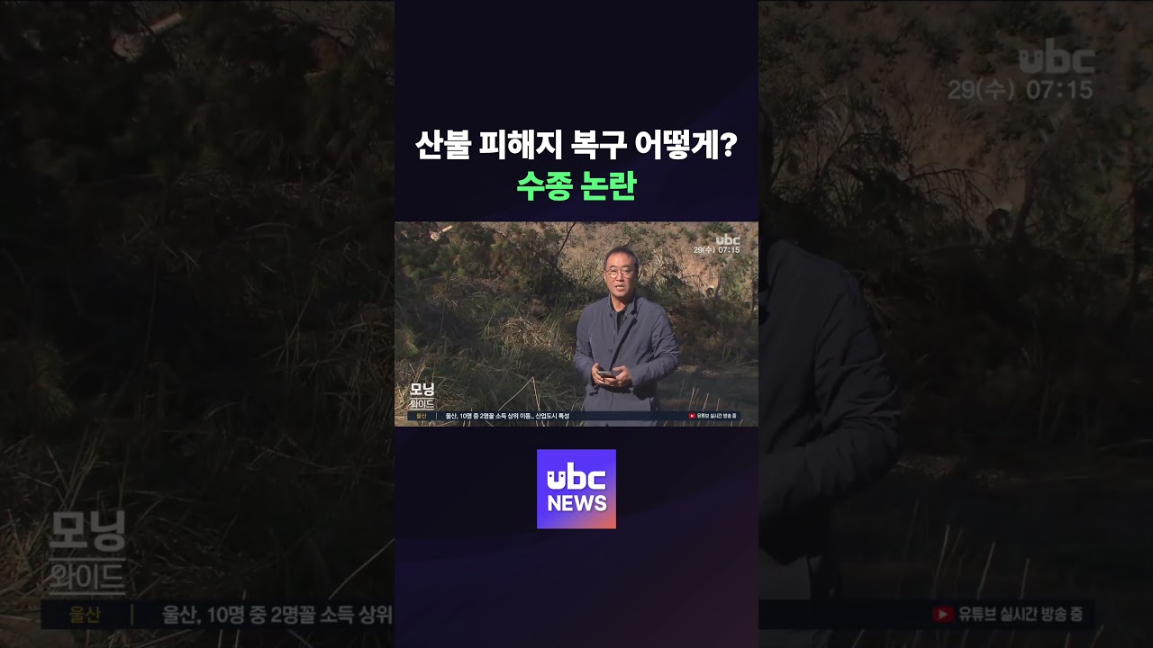 산불 피해지 복구 어떻게?.. 수종 논란 #shorts