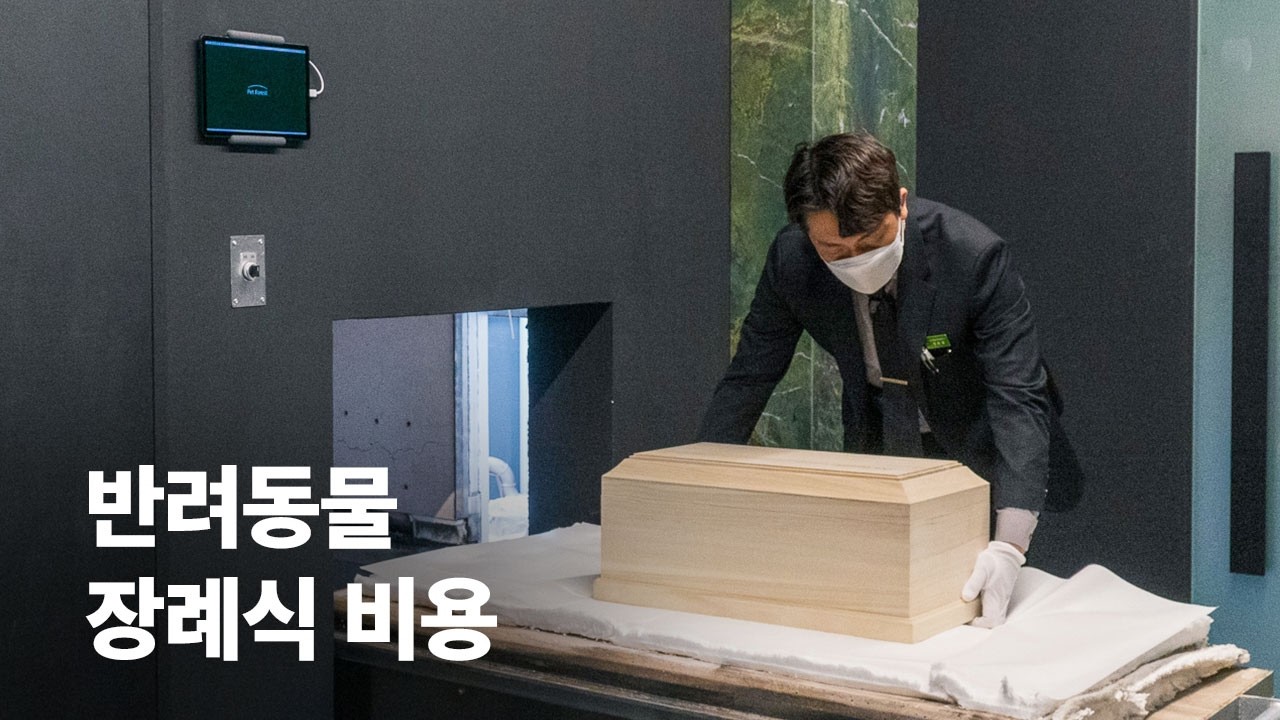 반려동물의 장례 비용은 얼마나 들까? 2024 ver. #강아지장례 #고양이장례 비용