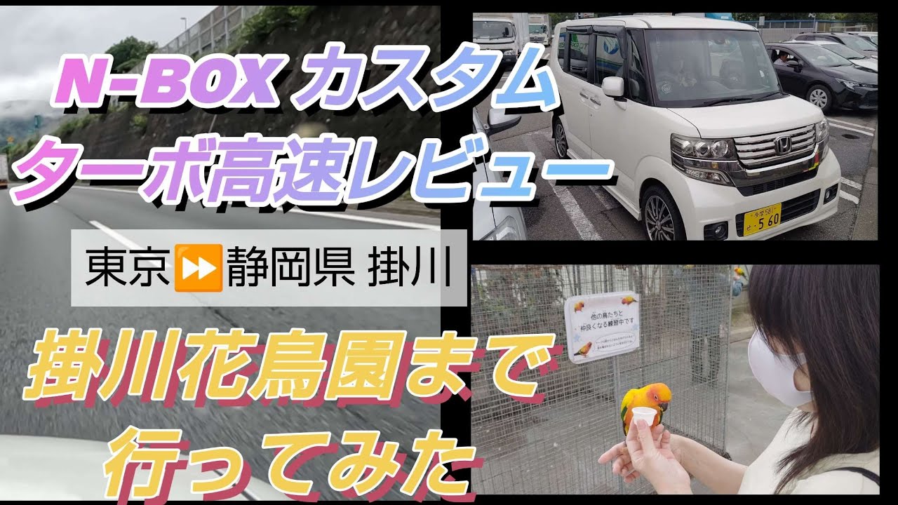 NBOX(JF1)カスタムターボ 高速道路 走行レビュー 静岡県掛川花鳥園行ってきた！