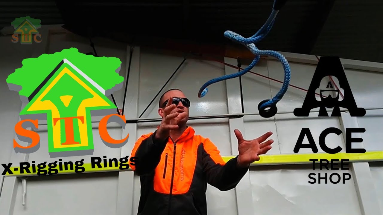 Tree Work Rosny, Tasmania X rigging Rings (Massive Tree Work)