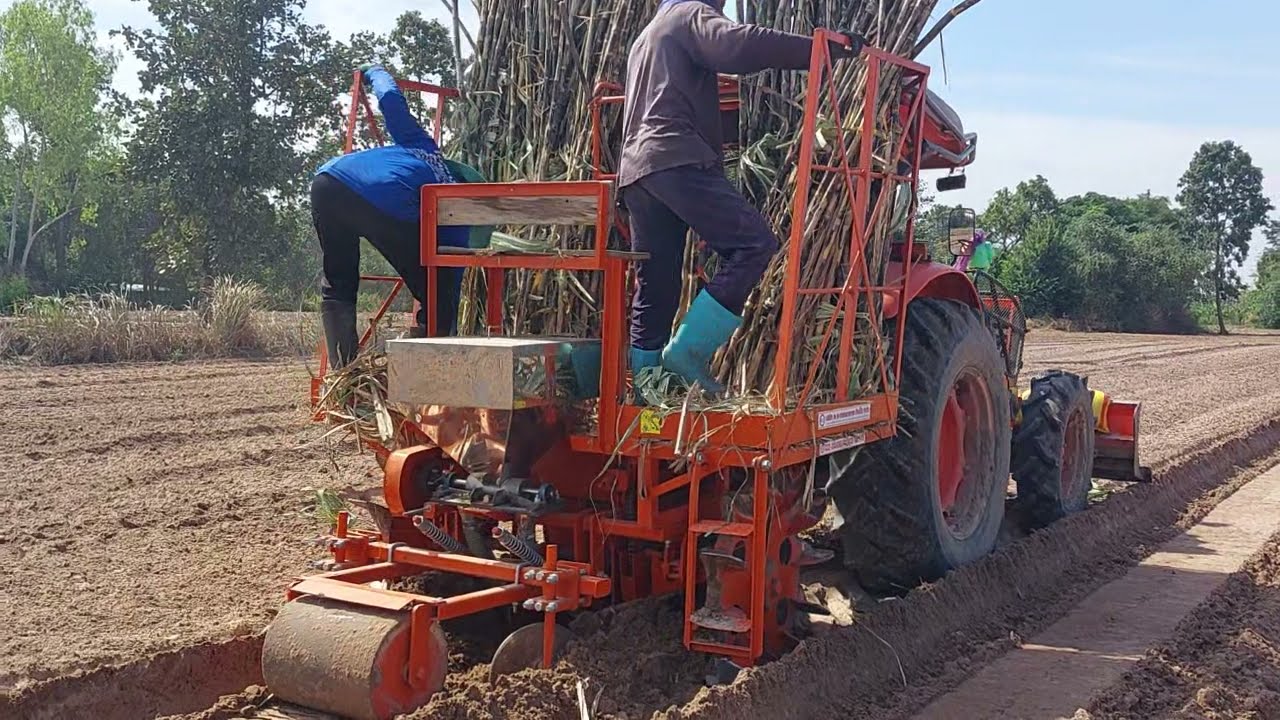 พามาดู เครื่องปลูกอ้อย ติดรถไถ ไร่ 680 ชมไป บ่นไป tractor EP.8971