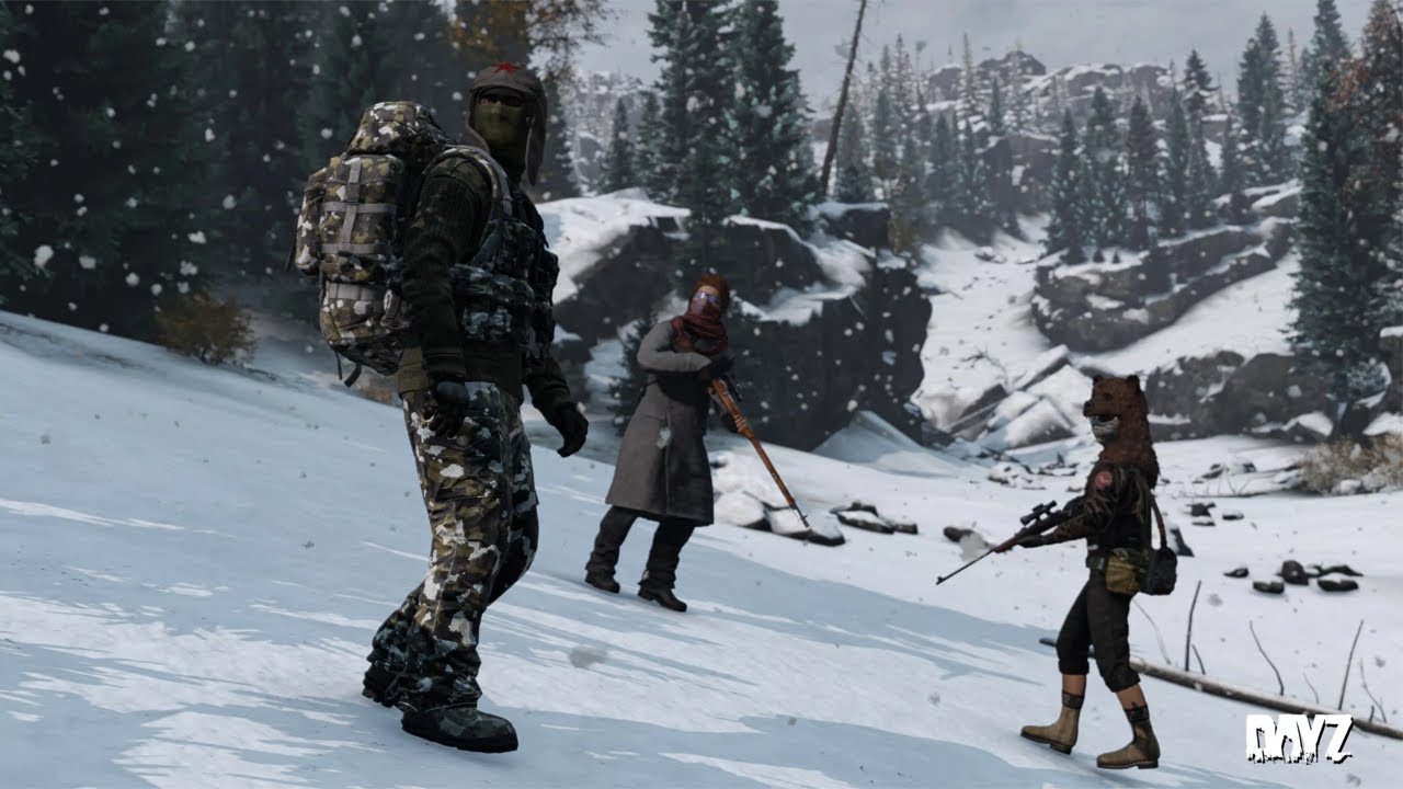 DAYZ PL | ODKRYLIŚMY BUNKIER NA WINTER ESSEKER! | LIVE PL
