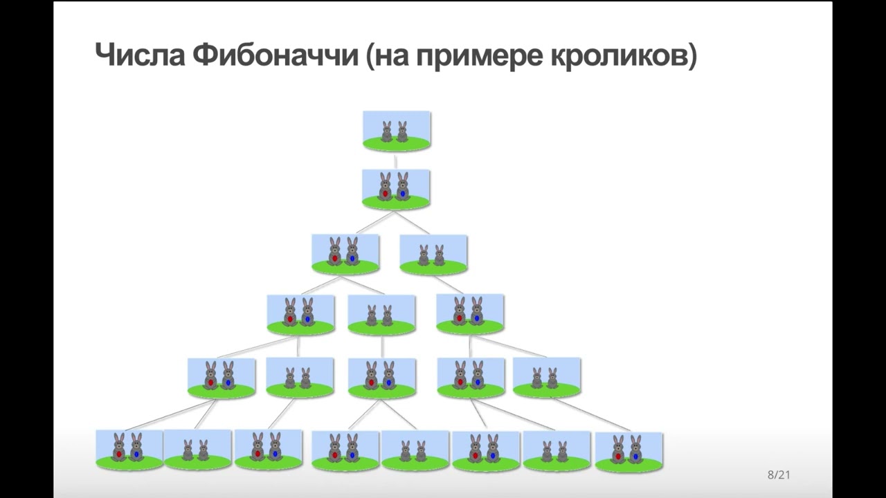 Введение в алгоритмы. Числа Фибоначчи