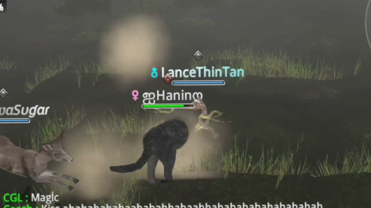 Wild animals Online: JSN THE CHAMPIONS. 🏆