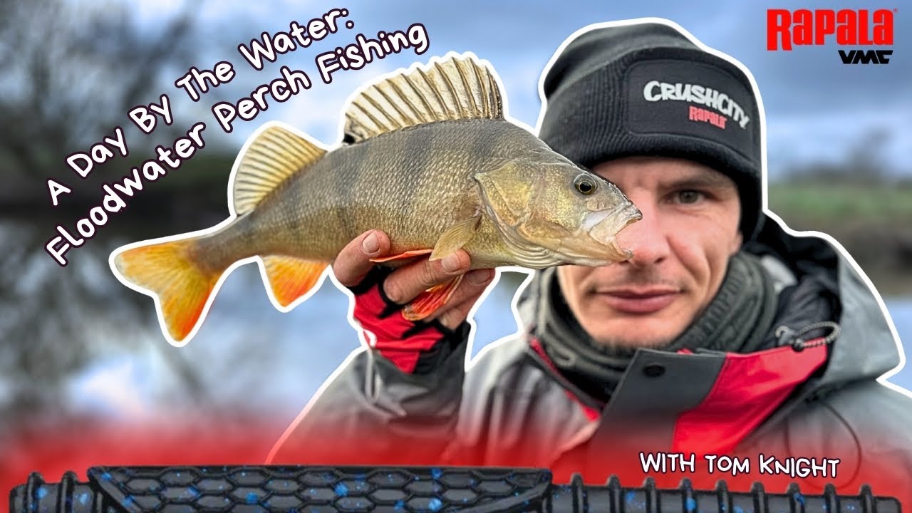 A Day By The Water - Episode 1: Floodwater Perch Fishing With Tom Knight