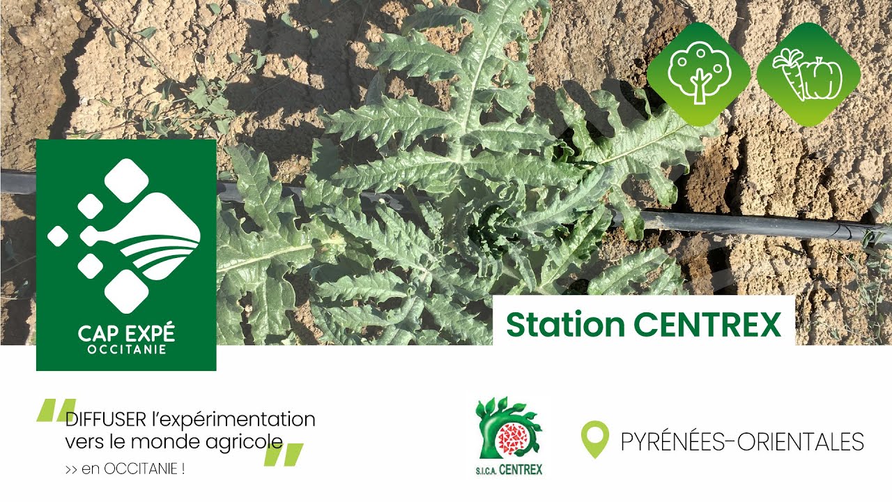 Portraits des stations d'expérimentation d'Occitanie - N°3 : la Sica CENTREX