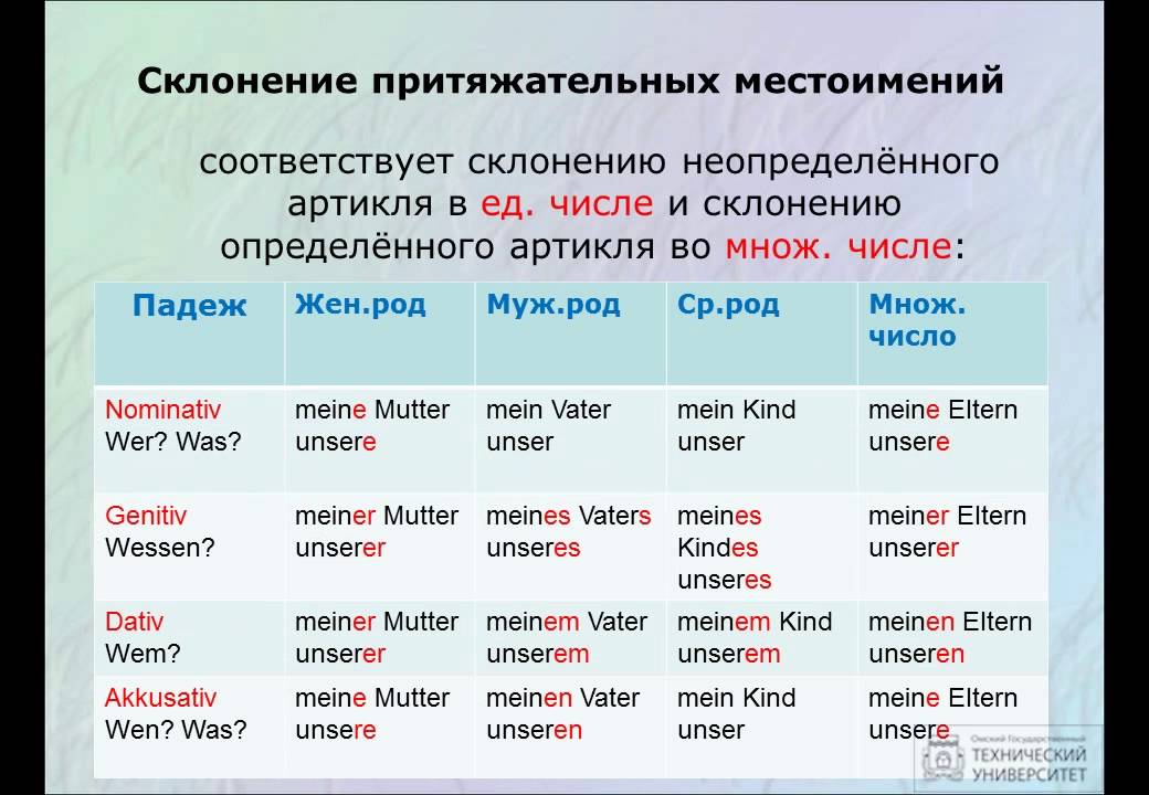 3. Притяжательные местоимения. Грамматика немецкого языка