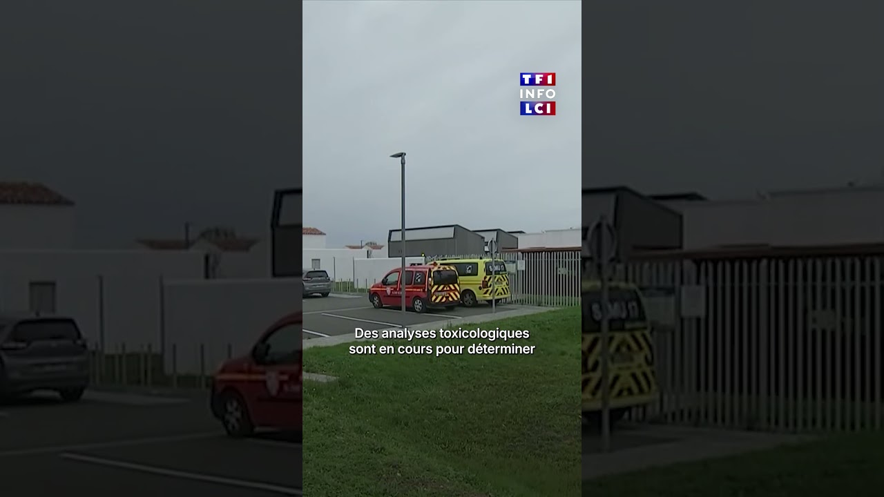 Attaque &agrave; Ol&eacute;ron : ce que l'on sait du suspect, Jean G., 35 ans｜LCI