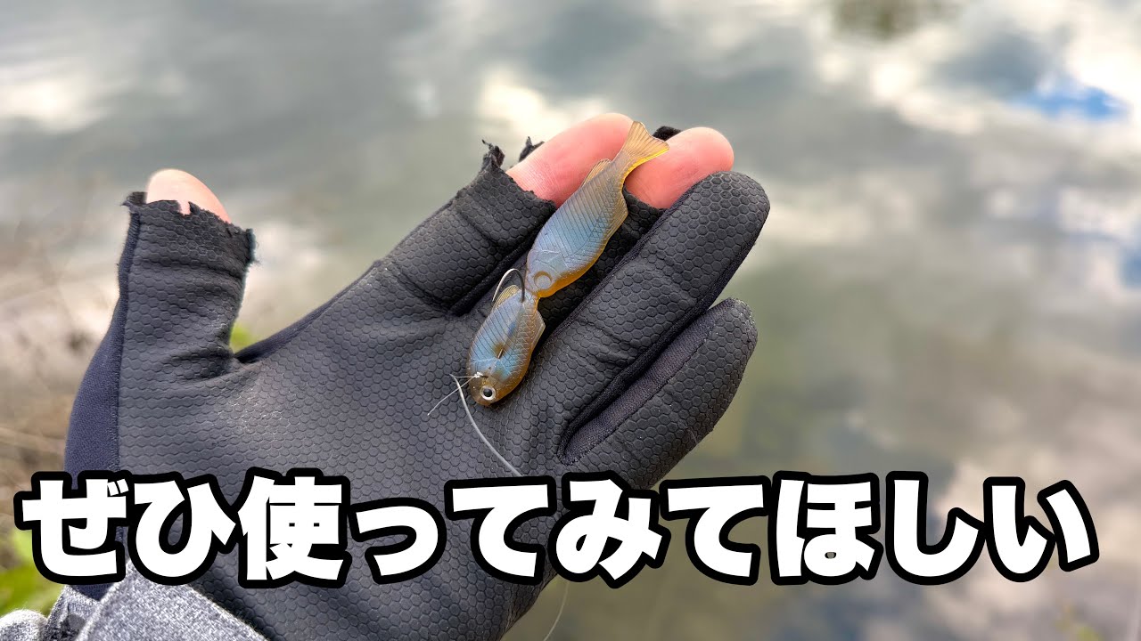 コレ、めちゃくちゃ賢いバスがウソみたいに簡単に食ってきます