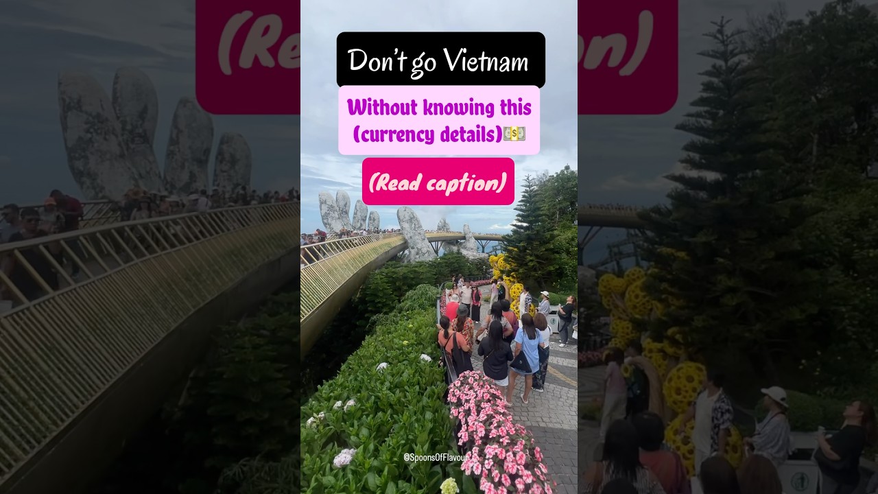 Vietnam Currency & Exchange Tips 🇻🇳 #vietnam #vietnamguide #vietnamtravel #currencyexchange