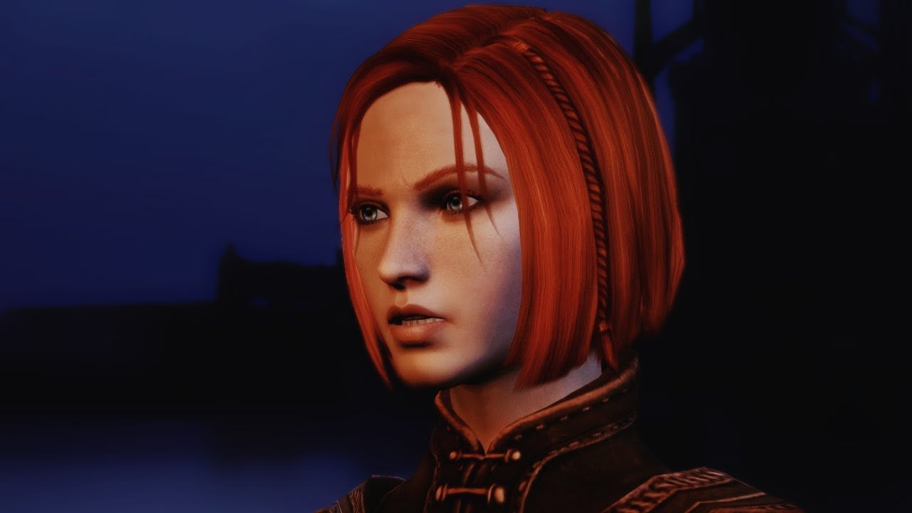 Companions about Leliana & Warden | Dragon Age: Origins