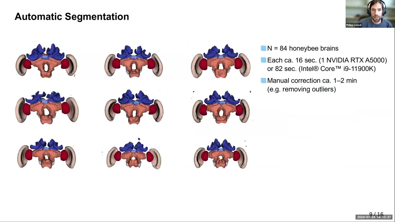 VIA Webinar: (Semi-) automated segmentation of biological images with Biomedisa and 3D Slicer