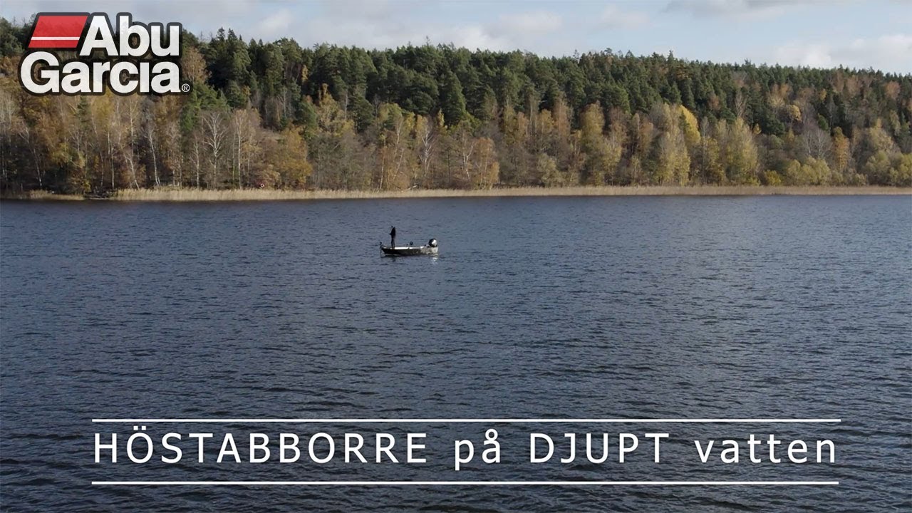 Höstabborre på DJUPT vatten