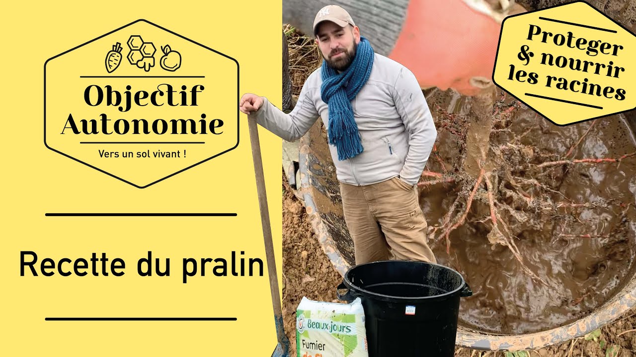 Comment faire un pralin pour vos fruitiers?