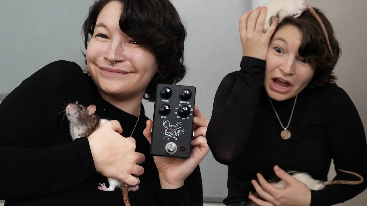 JHS PackRat but also real rats