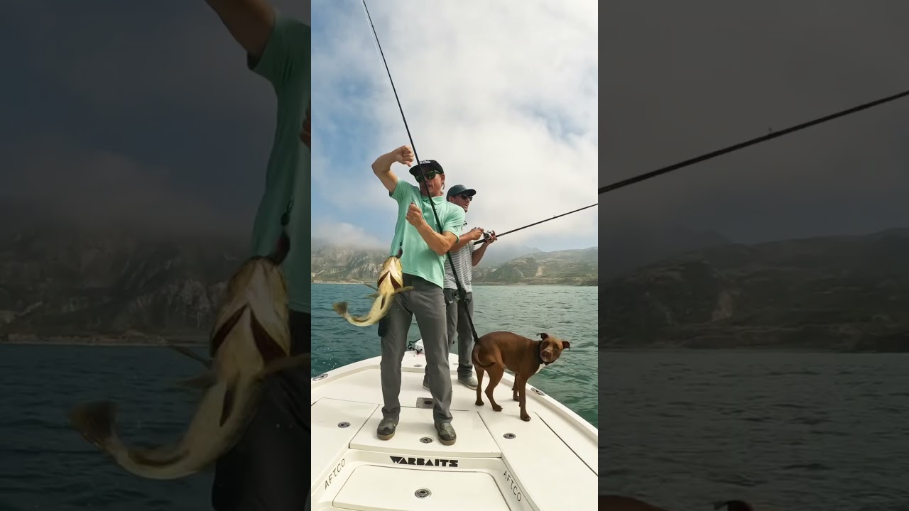 Shallow rocks, BIG Bass - Kicker Fishing Brand 