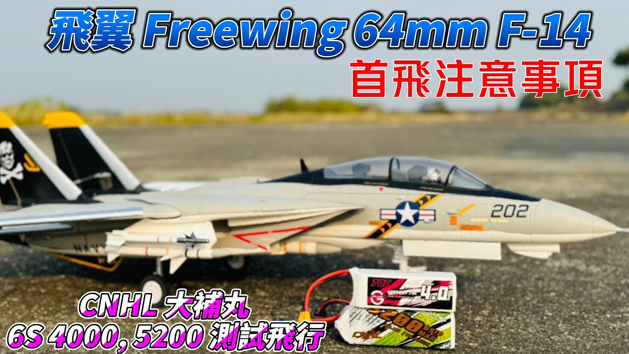首飛注意事項!  Freewing  飛翼 NEW  TWIN 雙 64mm F-14 雄貓 Tomcat  + CNHL 大補丸 6S 4000-5200 電池 里港測試飛行