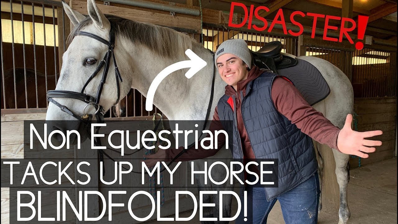 BOYFRIEND TACKS UP MY HORSE BLINDFOLDED!