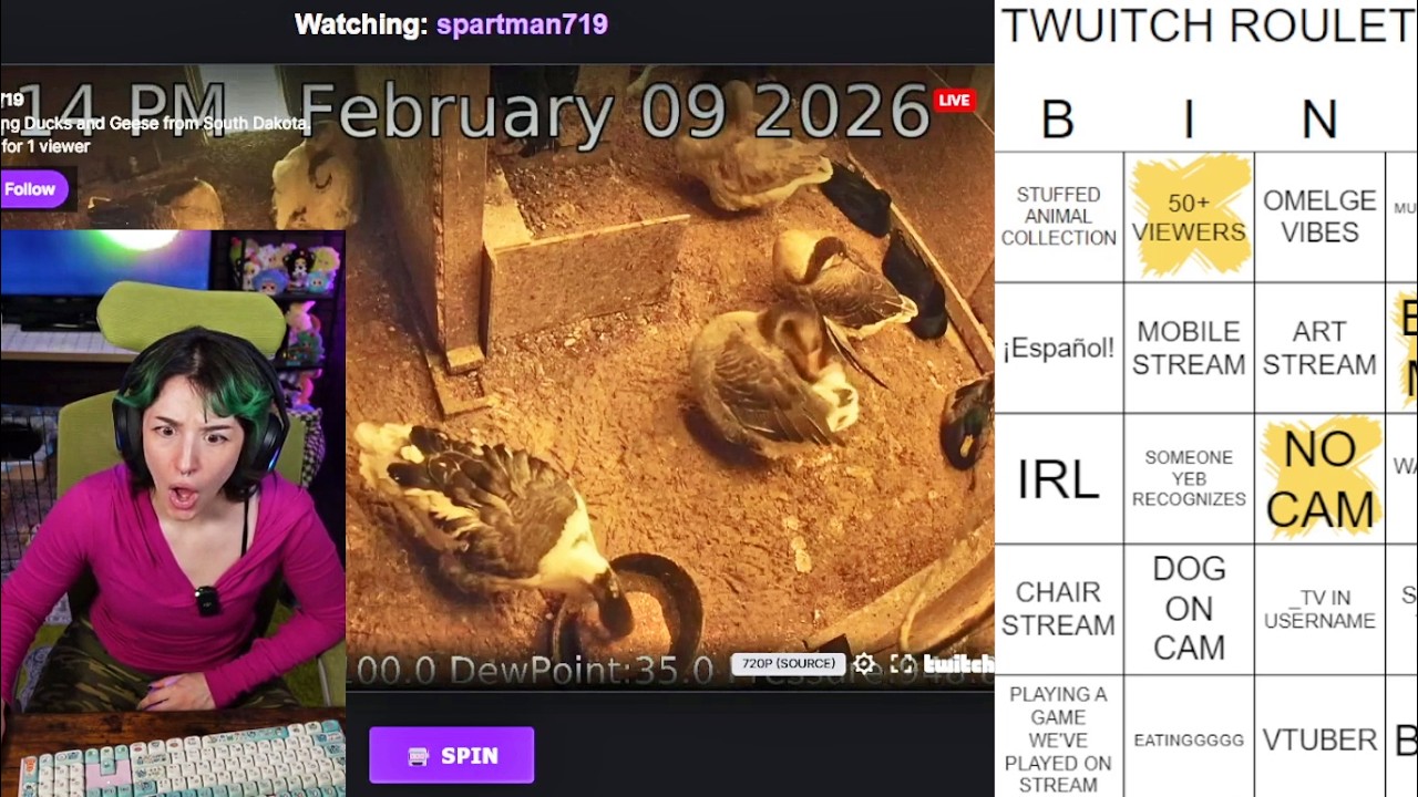 2/9/26 EVERYONE GET MORE LATINO! NOW! YAP THEN CHAT GAME!