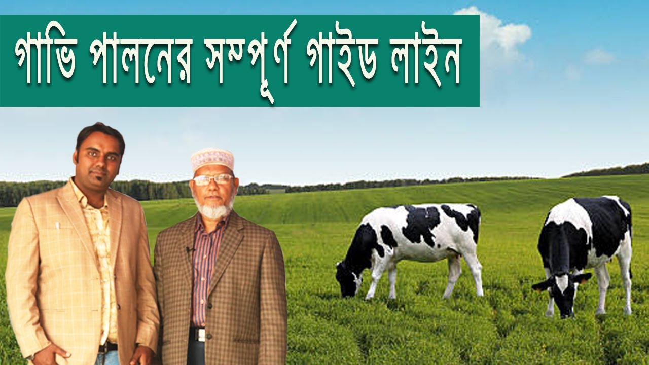ডাঃ নুরুল আমিন বললেন, বাছুর জন্মের ২ মাস আগে থেকে প্রাপ্ত বয়ষ্ক হওয়া পর্যন্ত সম্পুর্ন বিজ্ঞান