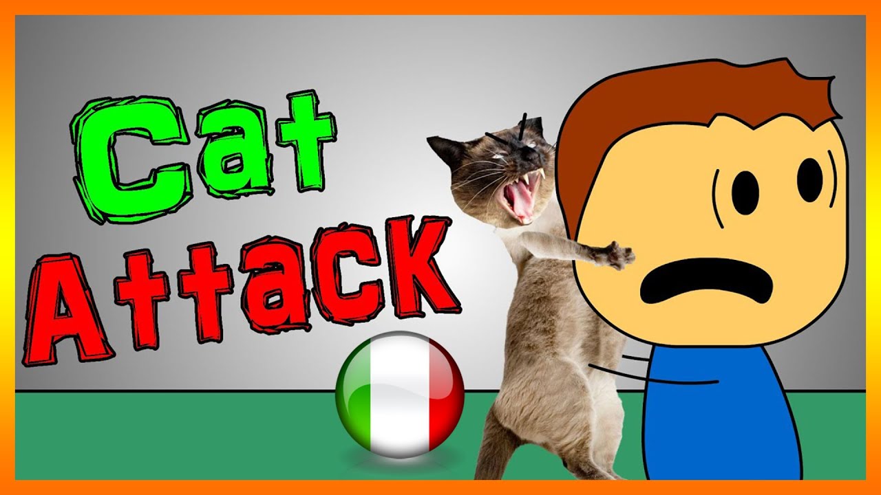 Gatto all'attacco | BREWSTEW ITA