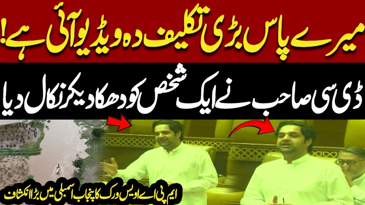 MPA Owais Warraich Big Revelation | DC Pushes Man Out | Punjab Assembly Speech