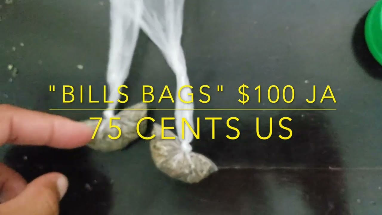 Lambs Bread TV: How To get weed in Kingston Jamaica...Straight High Grade!!!