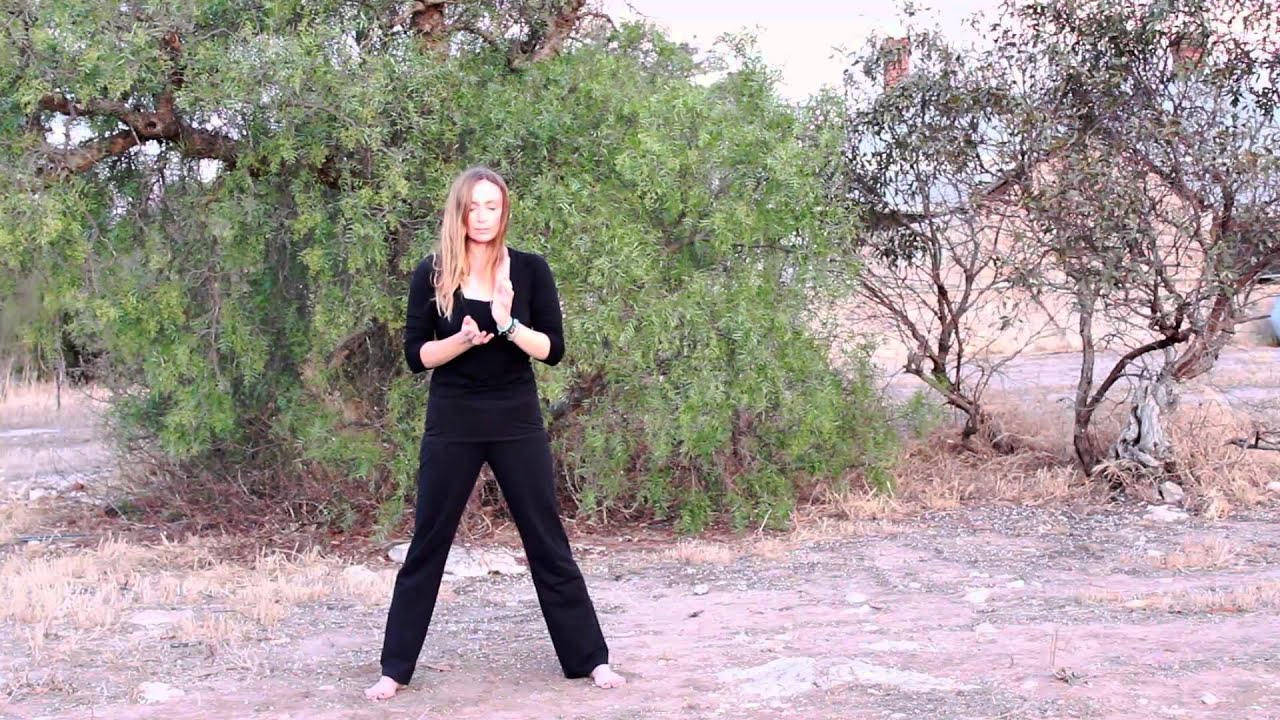 Meggie Moon | Dru Yoga Flow