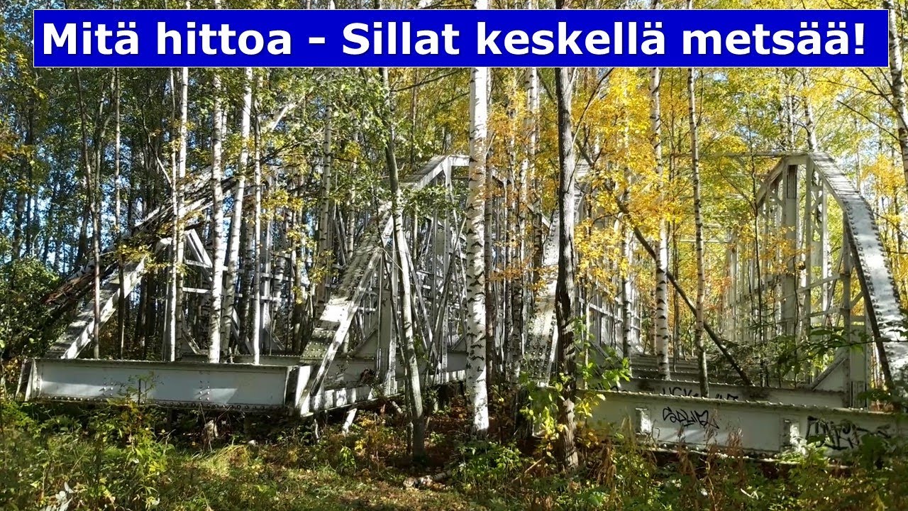 Kuopion kiehtovat takapihat: Kallansillat keskellä metsää!