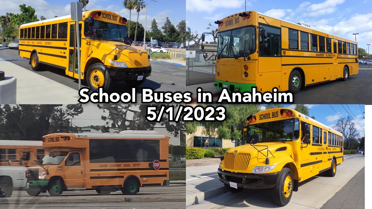 School Buses in Anaheim - 5/1/2023