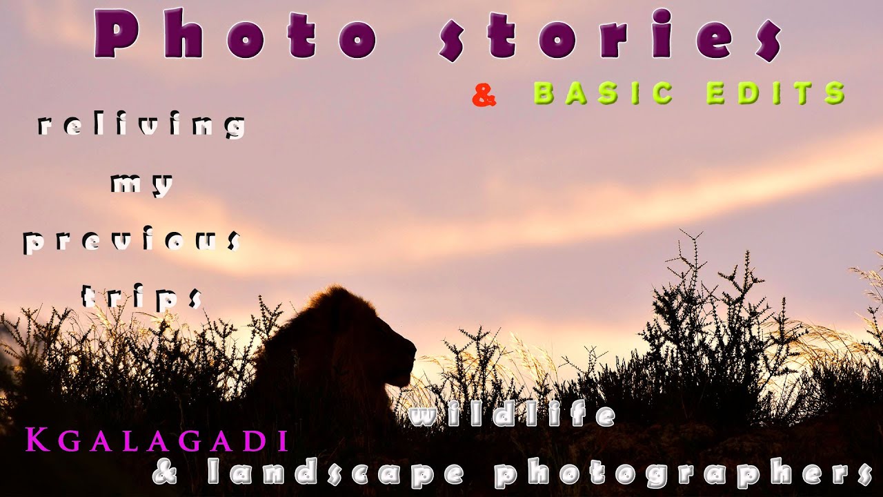 Wildlife Photography VLOG Back in the Office The Kgalagadi 6