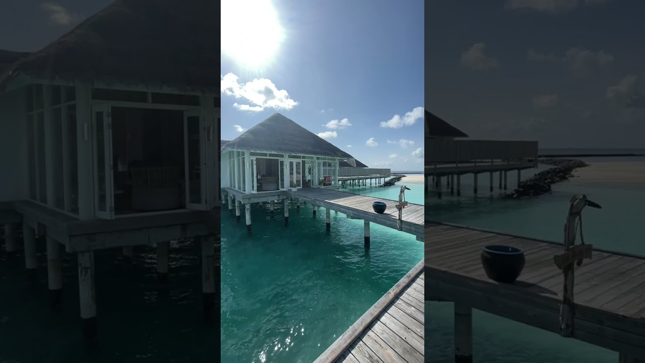 Flying beast in Maldives