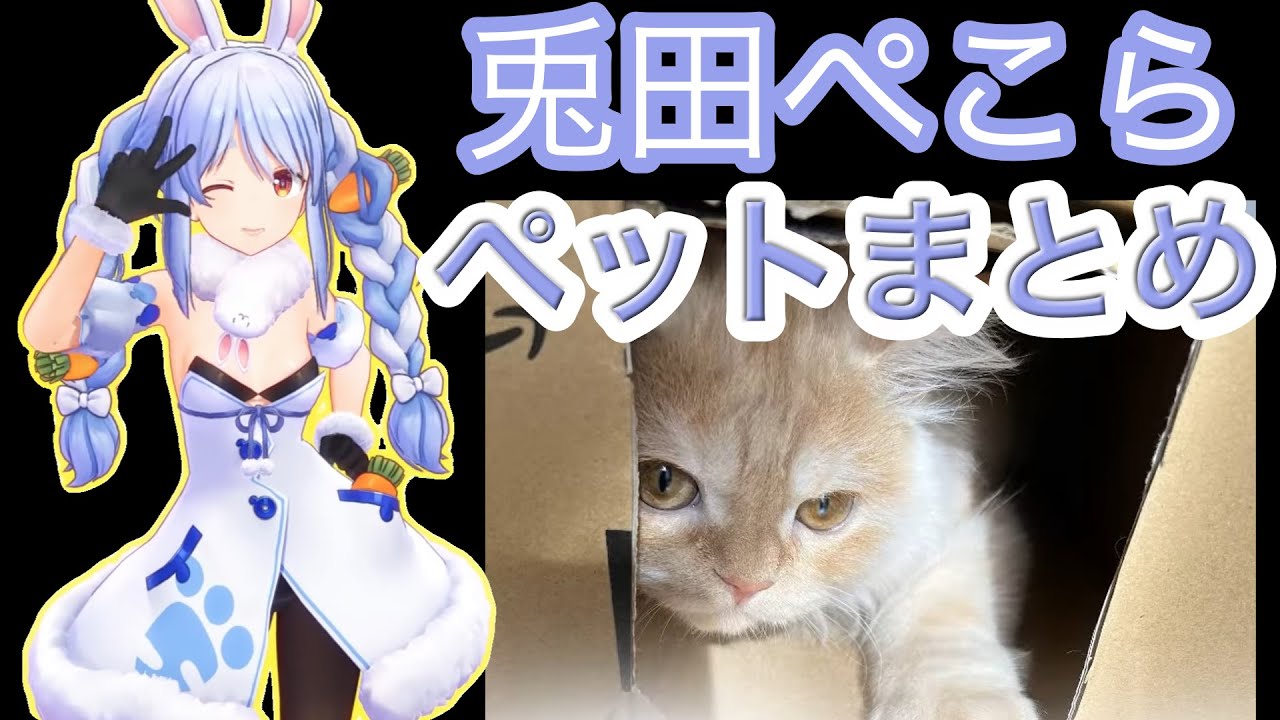 【兎田ぺこら】ホロメンのペットまとめ【ホロライブ/切り抜き】