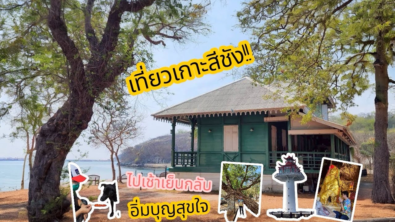 EP29 เที่ยวเกาะสีชัง/ไปเช้าเย็นกลับ.. ทำบุญแก้ปีชง.. ให้อาหารน้องหมาจร/สุขใจสุดๆ!