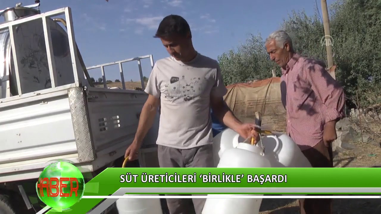 Süt üreticileri ‘birlikle’ başardı