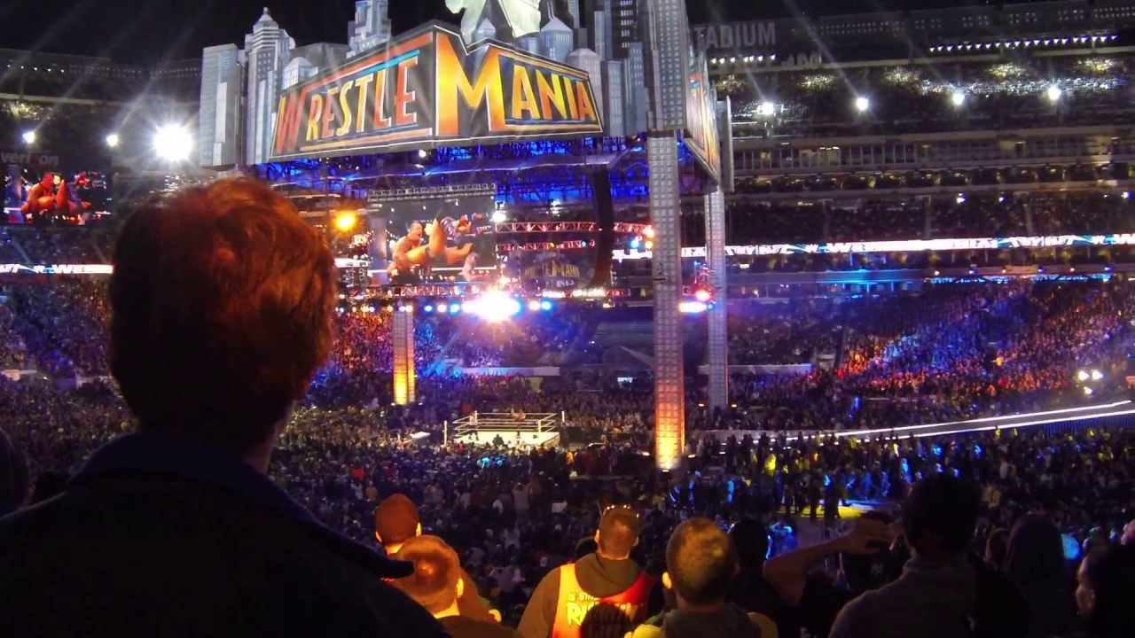 Undertaker vs. CM Punk - WM29 Live POV!