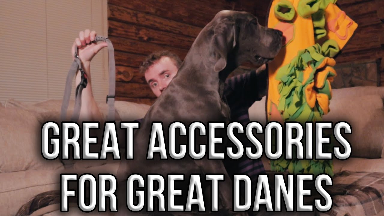 Great Danes - Great Accessories