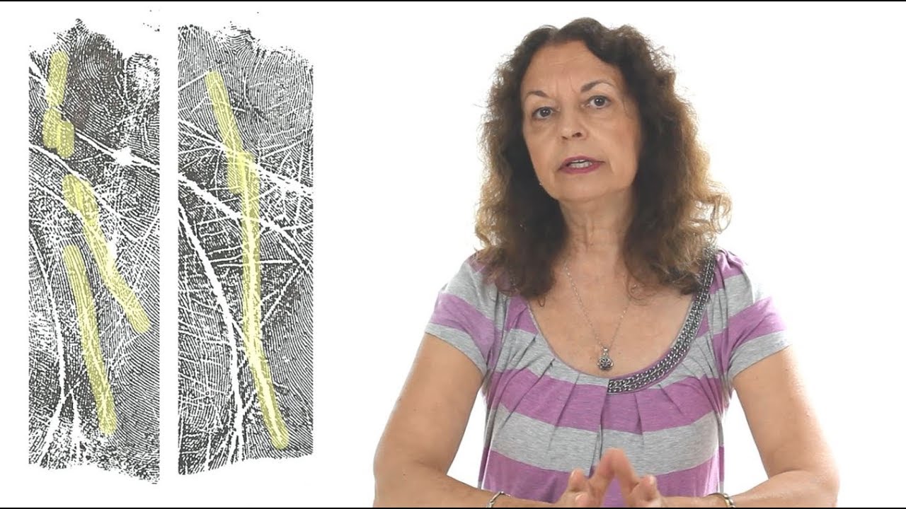 Connecting via the Destiny Line - Palmistry for Relationships