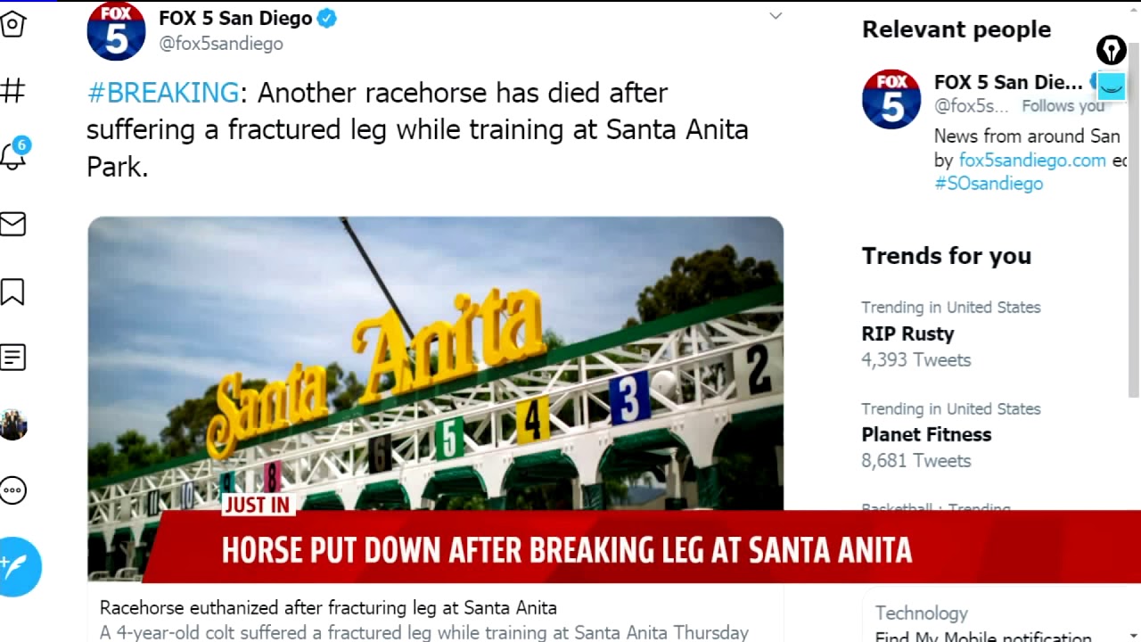 Horse Put Down After Breaking Leg At Santa Anita