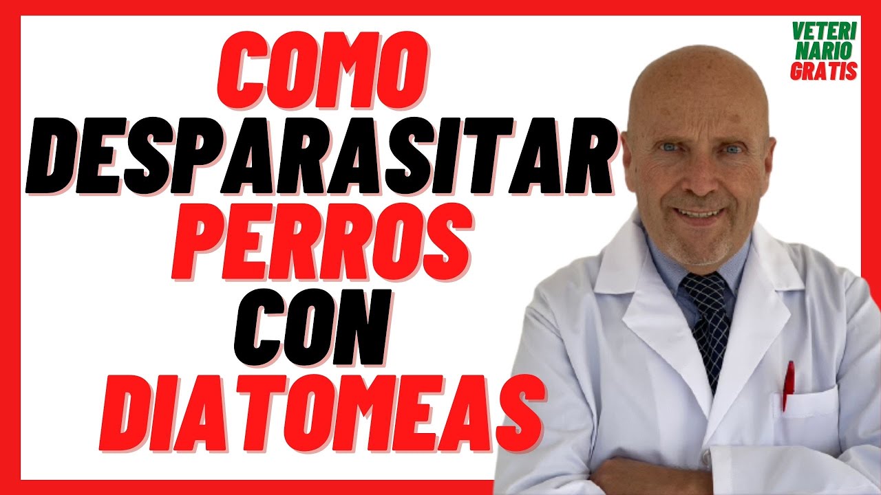 🟠 Tierra de DIATOMEAS 🟠 Mejores Remedios Caseros 🟠 para Par&aacute;sitos Internos y Externos en Perros