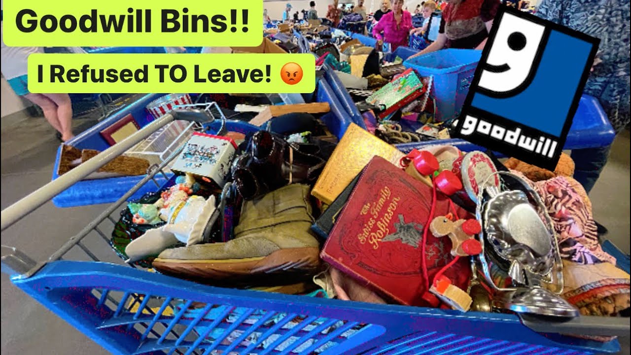 Let’s Go To Goodwill Bins! Were In Vancouver! I Refused To Leave & It Paid OFF! Thrift With Me!