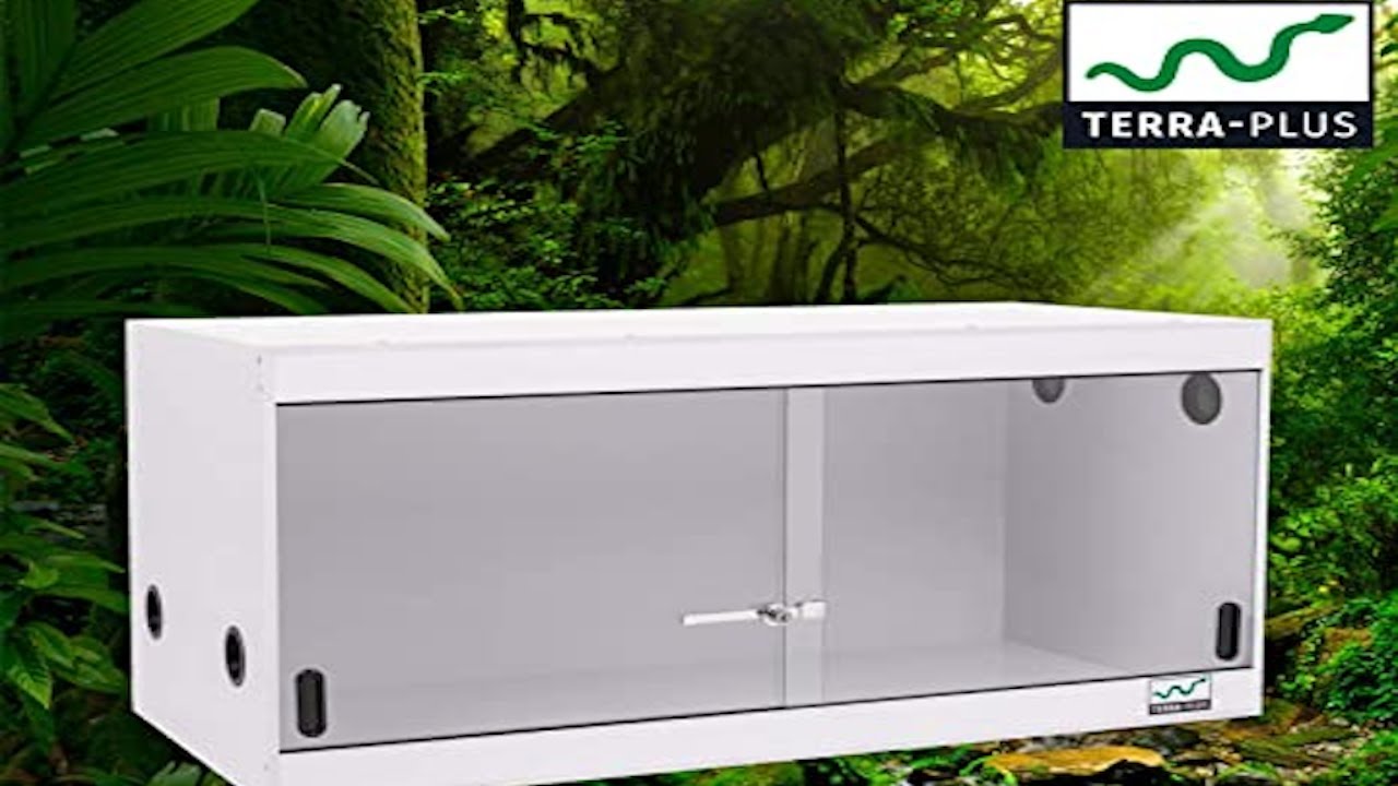 Terra Plus Terrarium | DIY SET#VOSSPET