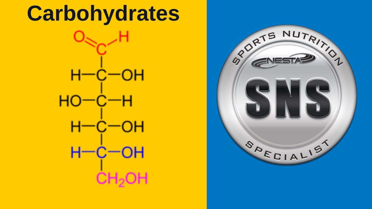 Carbohydrates in Diet and Sports Nutrition
