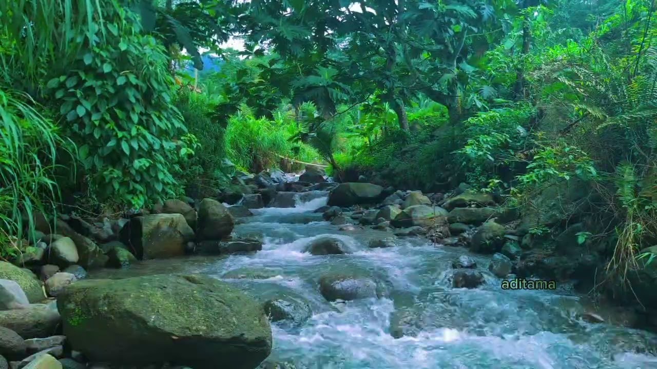 AMBIENT RIVER SOUND PEACEFUL FOREST